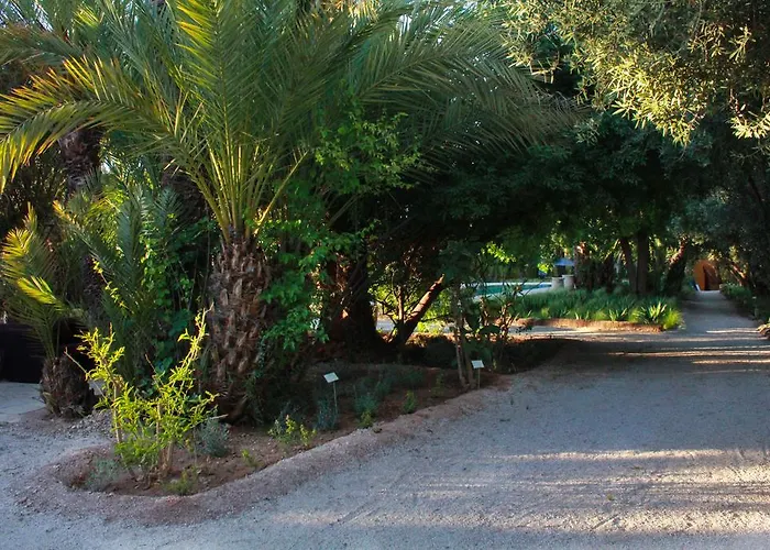 Hotel Jnane Tamsna Marrakesh